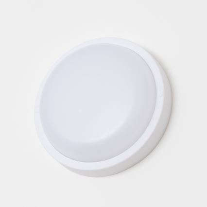 Brilagi - Udendørs LED loftlampe LED/13W/230V diameter 17 cm IP54