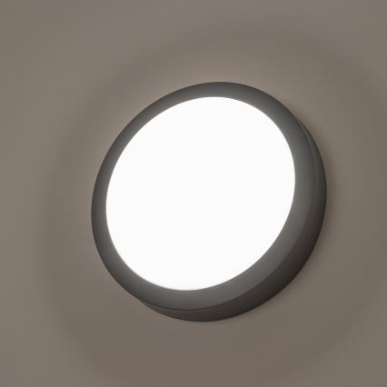 Brilagi - Udendørs LED loftlampe LED/20W/230V diameter 23 cm IP54 antracit