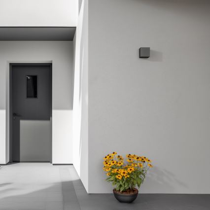 Brilagi - Udendørs LED væglampe CUBE LED/6W/230V antracit IP54