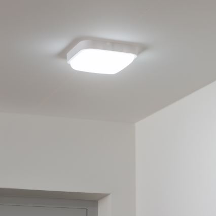 Brilagi - Udendørs LED væglampe LED/20W/230V IP54