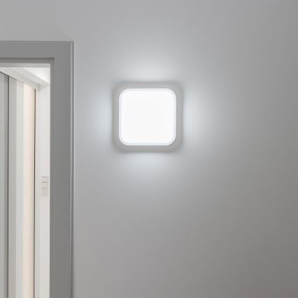 Brilagi - Udendørs LED væglampe LED/20W/230V IP54