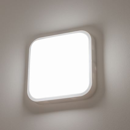 Brilagi - Udendørs LED væglampe LED/20W/230V IP54