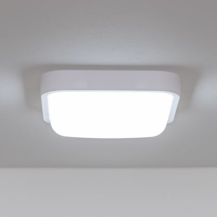 Brilagi - Udendørs LED væglampe LED/20W/230V IP54