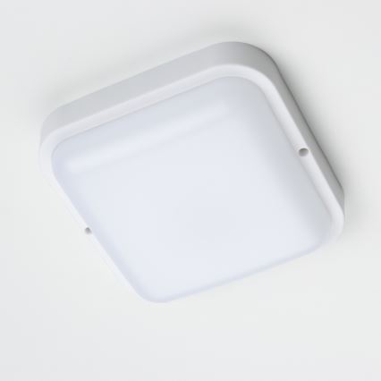 Brilagi - Udendørs LED væglampe LED/20W/230V IP54
