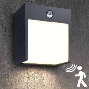 Brilagi - Udendørs LED væglampe med sensor TERNI LED/12W/230V antracit IP44