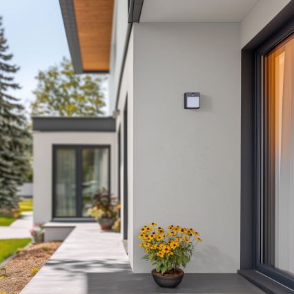 Brilagi - Udendørs LED væglampe med sensor TERNI LED/12W/230V antracit IP44