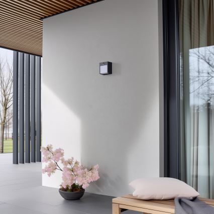 Brilagi - Udendørs LED væglampe med sensor TERNI LED/12W/230V antracit IP44