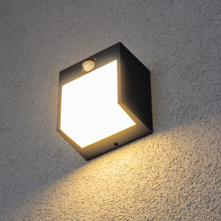 Brilagi - Udendørs LED væglampe med sensor TERNI LED/12W/230V antracit IP44