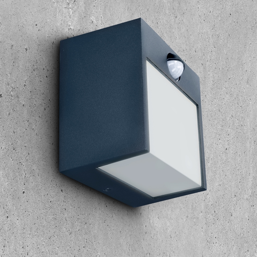 Brilagi - Udendørs LED væglampe med sensor TERNI LED/12W/230V antracit IP44
