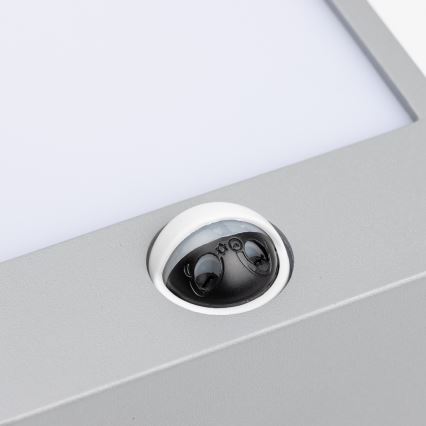 Brilagi - Udendørs LED væglampe med sensor TERNI LED/12W/230V grå IP44