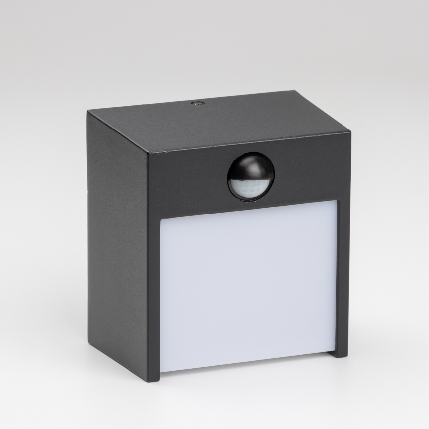 Brilagi - Udendørs LED væglampe med sensor TERNI LED/12W/230V sort IP44