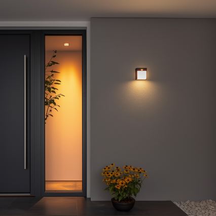 Brilagi - Udendørs LED væglampe med sensor TERNI LED/12W/230V sort IP44