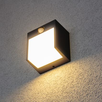 Brilagi - Udendørs LED væglampe med sensor TERNI LED/12W/230V sort IP44