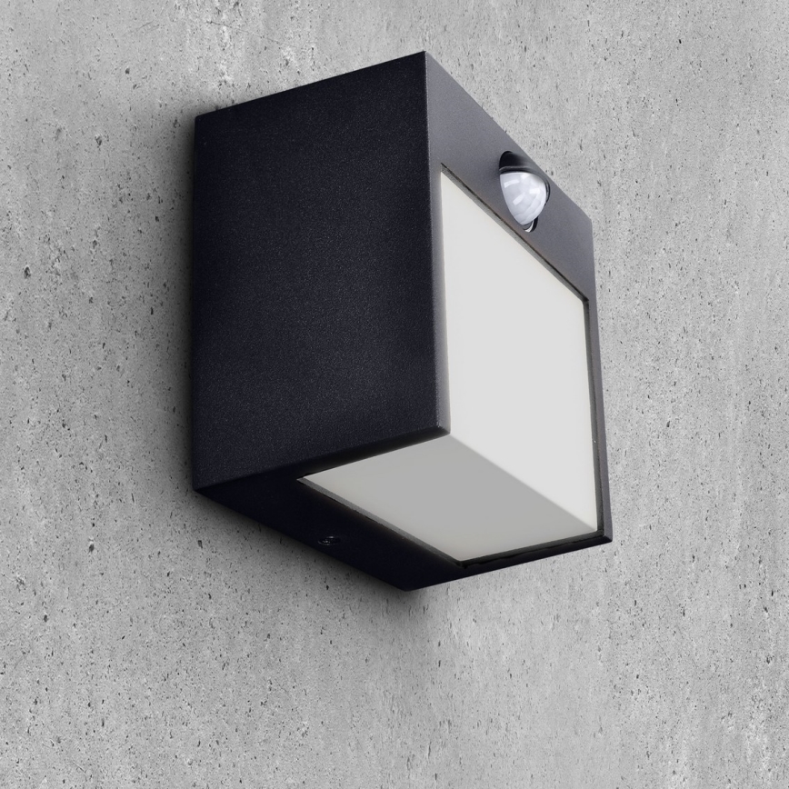 Brilagi - Udendørs LED væglampe med sensor TERNI LED/12W/230V sort IP44