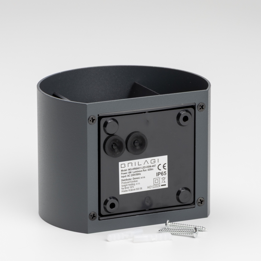 Brilagi - Udendørs LED væglampe RONDO LED/6W/230V antracit IP54