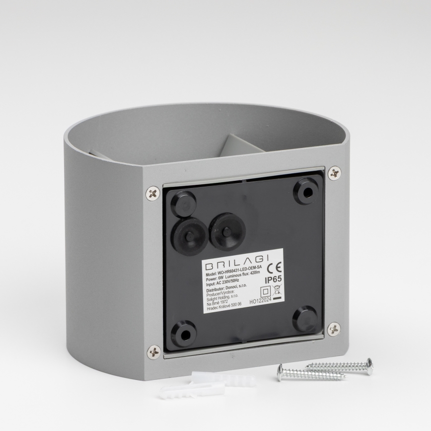 Brilagi - Udendørs LED væglampe RONDO LED/6W/230V grå IP54