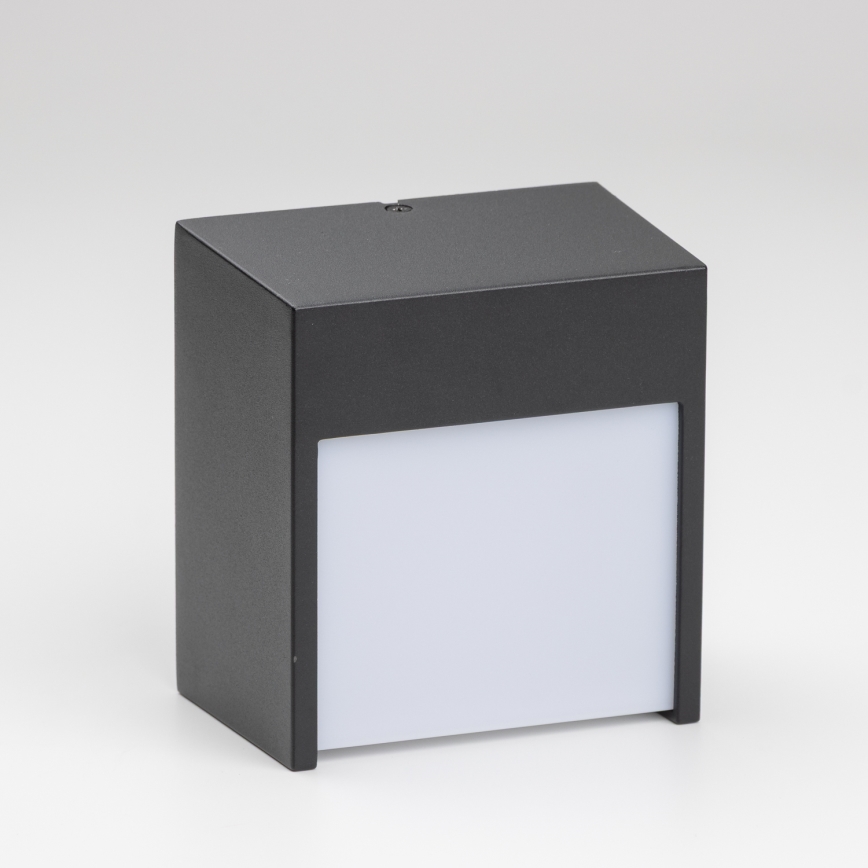 Brilagi - Udendørs LED væglampe TERNI LED/12W/230V IP44