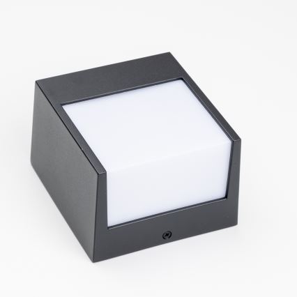 Brilagi - Udendørs LED væglampe TERNI LED/12W/230V IP44