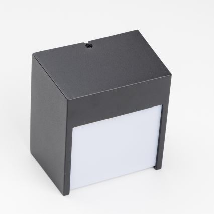 Brilagi - Udendørs LED væglampe TERNI LED/12W/230V IP44