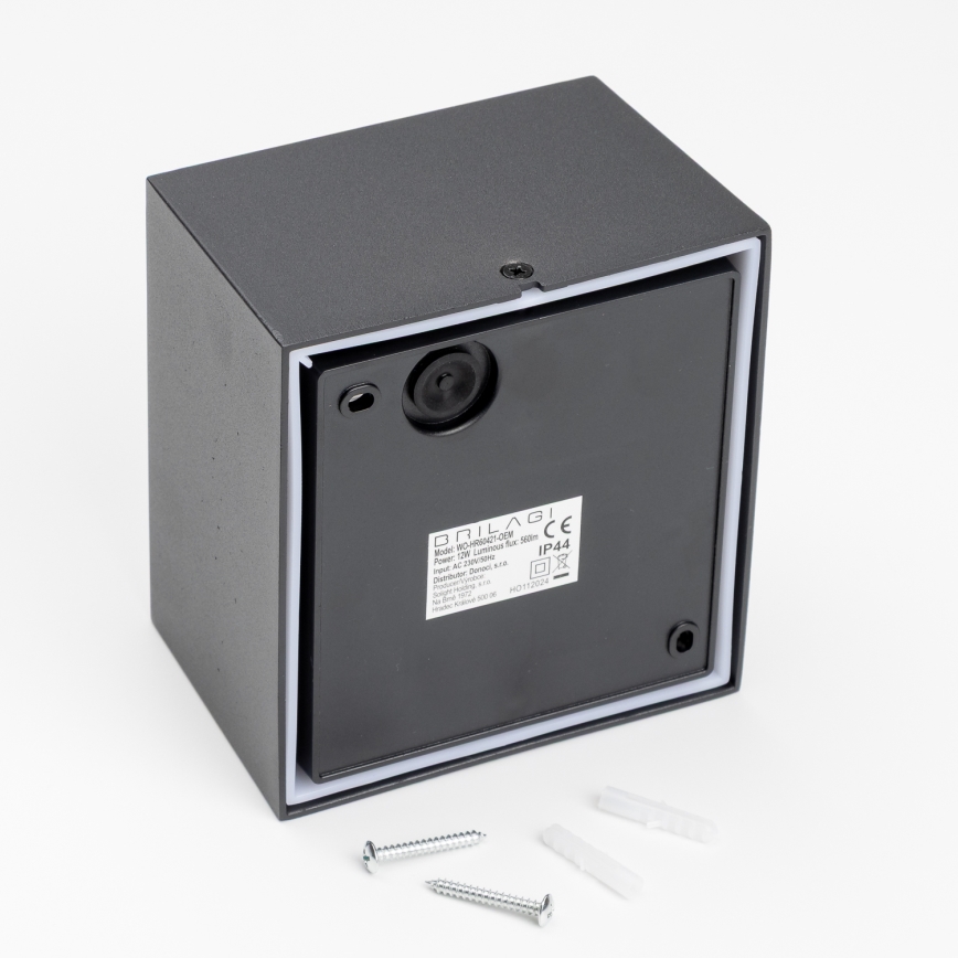 Brilagi - Udendørs LED væglampe TERNI LED/12W/230V IP44