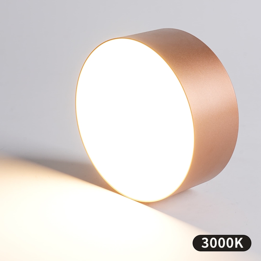 BRILAGI - Udendørs loftlampe FORIS LED/20W/230V Ø 15 cm bronzefarvet IP44