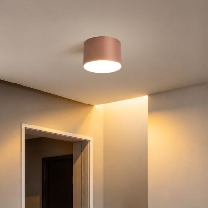 BRILAGI - Udendørs loftlampe FORIS LED/9W/230V Ø 9 cm bronze IP44
