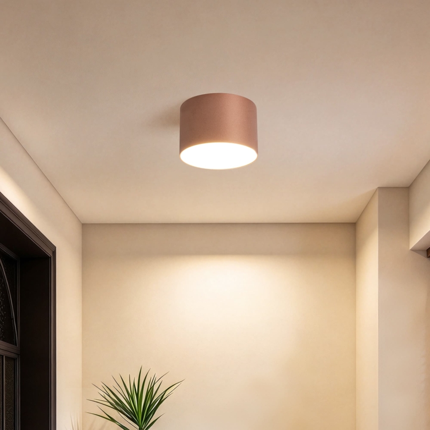 BRILAGI - Udendørs loftlampe FORIS LED/9W/230V Ø 9 cm bronze IP44