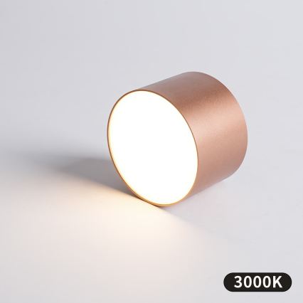 BRILAGI - Udendørs loftlampe FORIS LED/9W/230V Ø 9 cm bronze IP44