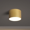 BRILAGI - Udendørs loftlampe FORIS LED/9W/230V Ø 9 cm guld IP44