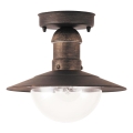 Brilagi - Udendørs loftlampe MOLDE 1xE27/60W IP44 bronze/patina