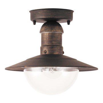 Brilagi - Udendørs loftlampe MOLDE 1xE27/60W IP44 bronze/patina