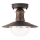 Brilagi - Udendørs loftlampe MOLDE 1xE27/60W IP44 bronze/patina