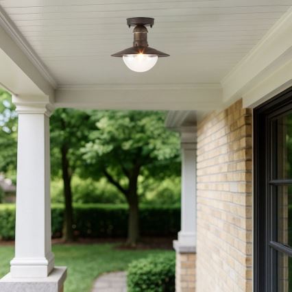 Brilagi - Udendørs loftlampe MOLDE 1xE27/60W IP44 bronze/patina