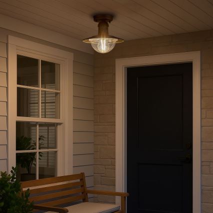 Brilagi - Udendørs loftlampe MOLDE 1xE27/60W IP44 bronze/patina