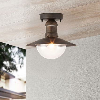 Brilagi - Udendørs loftlampe MOLDE 1xE27/60W IP44 bronze/patina