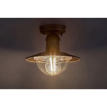 Brilagi - Udendørs loftlampe MOLDE 1xE27/60W IP44 bronze/patina