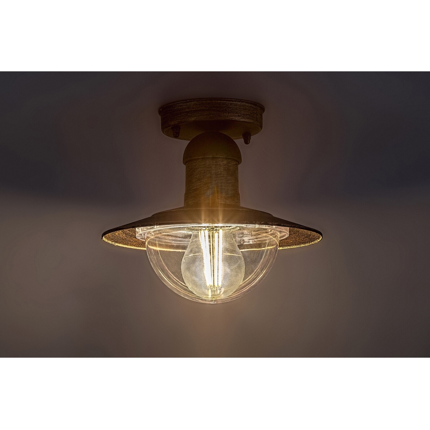 Brilagi - Udendørs loftlampe MOLDE 1xE27/60W IP44 bronze/patina