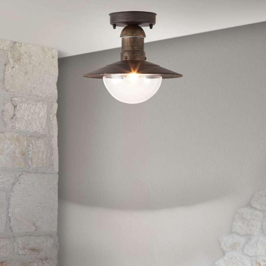 Brilagi - Udendørs loftlampe MOLDE 1xE27/60W IP44 bronze/patina