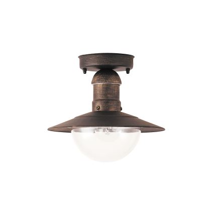 Brilagi - Udendørs loftlampe MOLDE 1xE27/60W IP44 bronze/patina