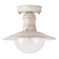 Brilagi - Udendørs loftlampe MOLDE 1xE27/60W IP44 hvid/patina
