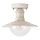 Brilagi - Udendørs loftlampe MOLDE 1xE27/60W IP44 hvid/patina