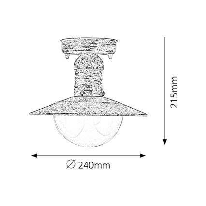 Brilagi - Udendørs loftlampe MOLDE 1xE27/60W IP44 hvid/patina