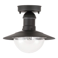 Brilagi - Udendørs loftlampe MOLDE 1xE27/60W IP44 sort