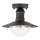 Brilagi - Udendørs loftlampe MOLDE 1xE27/60W IP44 sort