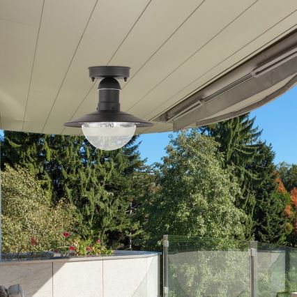 Brilagi - Udendørs loftlampe MOLDE 1xE27/60W IP44 sort