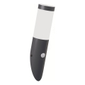 Brilagi - Udendørs væglampe med bevægelsessensor ELIA 1xE27/20W/230V IP44 antracit