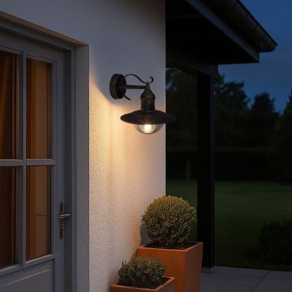 Brilagi - Udendørs væglampe MOLDE 1xE27/60W/230V IP44 bronze/patina