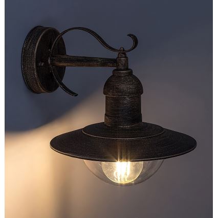 Brilagi - Udendørs væglampe MOLDE 1xE27/60W/230V IP44 bronze/patina