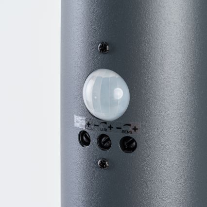 BRILAGI - Udendørslampe med bevægelsessensor ELIA 1xE27/20W/230V IP44 100 cm antracit