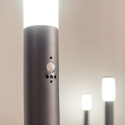 BRILAGI - Udendørslampe med sensor ELIA 1xE27/20W/230V IP44 50 cm antracit